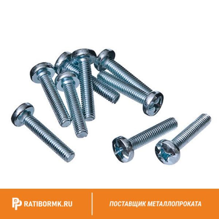 Винт нержавеющий М3х5 мм TORX-10 А4 DIN 965